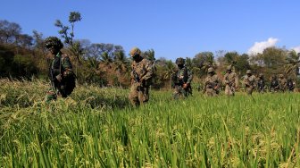 Prajurit Korps Marinir TNI AL bersama Marinir Amerika Serikat United States Marine Corps (USMC) berlatih penghancuran objek vital pada giat Latihan Bersama (Latma) Cooperation Afloat Readiness and Training (CARAT) 2019 di Hutan Selogiri, Banyuwangi, Jawa Timur, Senin (5/8).[ANTARA FOTO/Budi Candra Setya]