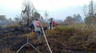 Soal Karhutla, Walhi: Pemerintah Lalai Karena Sibuk Pemilu