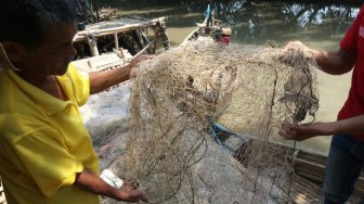 Minyak Pertamina Tumpah, 300 Ribu Pohon Mangrove di Muaragembong Terancam