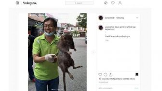 Meme Kocak Tikus Jumbo dan 4 Berita Viral Lainnya