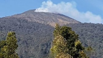 Kebakaran Melanda Taman Nasional Gunung Ciremai, Jalur Pendakian Ditutup