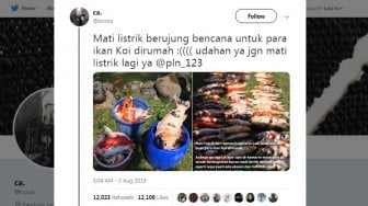 Karyawan PLN Ramai-ramai Bully JJ Rizal Gara-gara Ikan Koi Mati