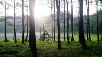 Kerap Jadi Lokasi Pre Wedding, Seperti Apa Keelokan Situ Dewa Dewi Cipiit?