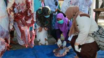 Bupati dan Wakil Bupati Probolinggo Periksa Kualitas Daging Kurban