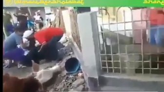 Viral, Jagal Kurban di Cimahi Meninggal sebelum Sembelih Sapi