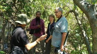 Pakar Burung Asal Jerman, Amati Habitat Burung Javan White Eye