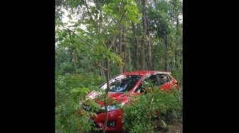 Duh, Dianggap Tak Sopan Saat Tanya Jalan, Honda Jazz Nyasar ke Hutan