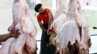 Mohammad Ibraheem saat memotong daging di sebuah rumah jagal hewan di hari ketiga Idul Adha di Kota Kuwait, Selasa (13/8). [AFP Photo/ Yasser Al-Zayyat]