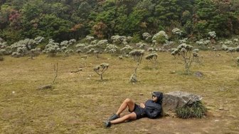 9 Jam Taklukkan Gunung Gede, Demi Bunga Keabadian di Alun-alun Surya Kencana