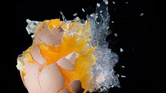 Telur Mengapung Tanda Busuk, Mitos atau Fakta?