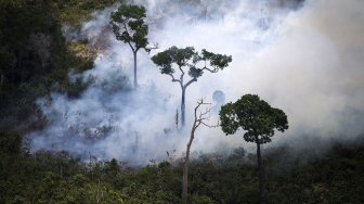 Dilanda Kebakaran Hutan, Ratusan Warga Australia Mengungsi