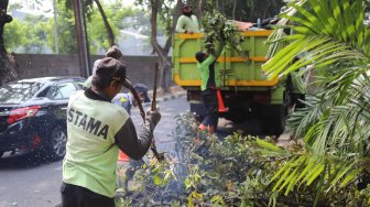 Petugas Dinas Kehutanan DKI Jakarta melakukan pemangkasan pohon di kawasan Menteng, Jakarta, Jumat (23/8). [Suara.com/Arya Manggala]
