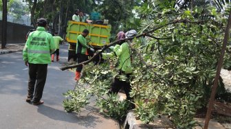 Petugas Dinas Kehutanan DKI Jakarta melakukan pemangkasan pohon di kawasan Menteng, Jakarta, Jumat (23/8). [Suara.com/Arya Manggala]
