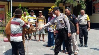 Curi Sapi Hamil di Kencong, Warga Jember Ditangkap Polisi