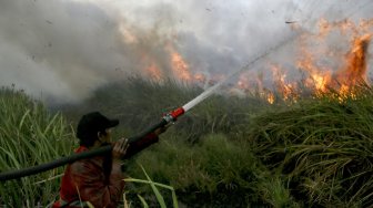 Pulau Merak Besar Terbakar Hebat