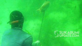 Sensasi Snorkeling dan Memanah Ikan di Perairan Ujunggenteng