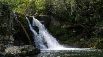 Menyesal, Turis Ini Kembalikan Batu yang Diambilnya dari Taman Nasional