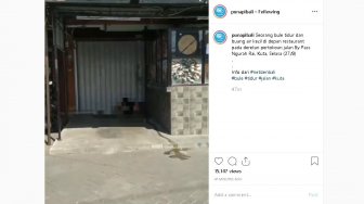 Bikin Heboh karena Pipis di Emperan Toko, Bule Australia Diciduk Satpol PP