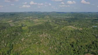Narasi Tempat Jin Buang Anak untuk Kalimantan Muncul Akibat Ketimbangan Pembangunan Sejak Orde Baru
