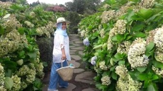 Pesona The Blooms Garden Wisata Taman Bunga Baru Yang Sedang Hits Di Bali