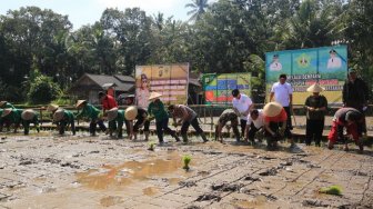 Bupati Tabanan Ramai-ramai Bersama Petani dan Pejabat Tanam Padi