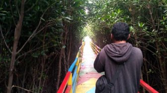 Menyusuri Jembatan Labirin Wisata Mangrove Pantai Lontar