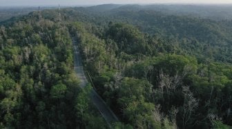 Foto aerial Taman Hutan Raya (Tahura) Bukit Soeharto di Kutai Kartanegara, Kalimantan Timur, Sabtu (31/8). [ANTARA FOTO/Akbar Nugroho Gumay]