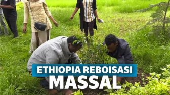 Upayakan Reboisasi, Warga Ethiopia Tanam 353 Juta Pohon dalam 12 Jam