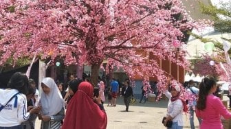 Sakura Matsuri 2019, Festival Budaya Perkuat Hubungan Jepang - Indonesia