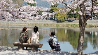 Menilik Potret Cantiknya Sungai Katsura di Jepang