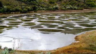 Saat volume air di Spotted Lake relatif penuh (Wikimedia Commons Jack Borno)