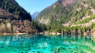 Menawan, Potret Pesona Aneka Warna Five Flower Lake di China