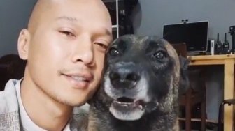 Anjingnya Terkam ART hingga Tewas, Presenter Bima Aryo Diamuk Warganet