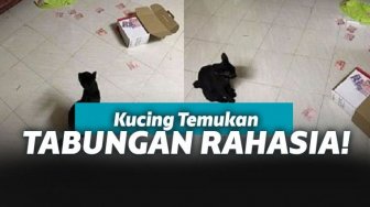 Ngaku Bokek, Suami Diomelin Istri Karena Tabungan Rahasia Ditemukan Kucing!