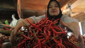 Pedagang sayuran menata dagangannya di Pasar Minggu, Jakarta, Kamis (5/9). [Suara.com/Angga Budhiyanto]