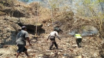 Tiga Hektar Lahan Hutan di Tulungagung Terbakar, Warga dan Petugas Berjaga