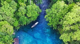 Danau Labuan Cermin: Keajaiban Dua Rasa di Tengah Pesona Alam Berau