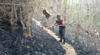 Kebakaran di Gunung Trianggulasi Jember Hanguskan 2,5 Hektare Lahan