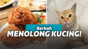 Beri Makan Kucing Kelaparan, Cowok Ini Langsung Dapat Balasannya. Tunai!