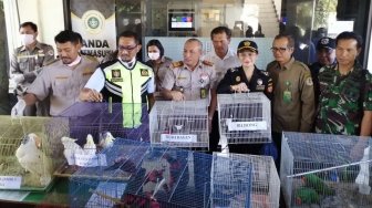 BBKP Surabaya Gagalkan Penyelundupan 74 Ekor Satwa Terancam Punah