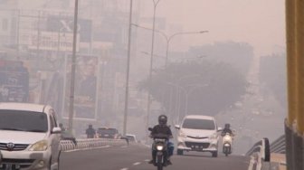 Malaysia Minta Jokowi Segera Tuntaskan Karhutla