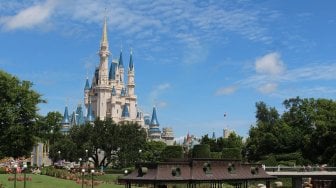 Demi Bisa Pergi di Disney World Tiap Bulan, Wanita Ini Melakukan Donor Plasma 2 Kali Seminggu