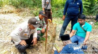 Antisipasi Gangguan Harimau di Permukiman, BKSDA Aceh Datangkan Pawang