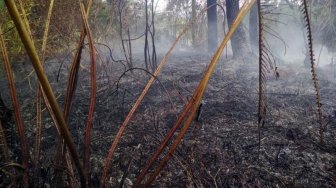 Lahan Jati Terbakar Diduga Akibat Buang Puntung Rokok Sembarangan