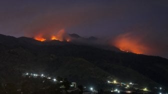 Kebakaran Hutan Gunung Merbabu Padam, 436 Hektare Lahan Gosong