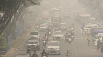 Miris, Warganet Temukan Burung Berjatuhan dari Langit karena Kabut Asap