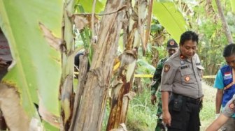 Mayat Tanpa Identitas Gegerkan Warga Balongbendo Sidoarjo