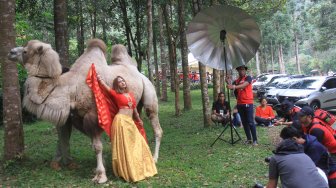 Antusias Fotografer Ikuti Lomba Foto Satwa di Taman Safari