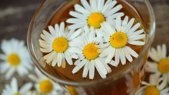 Zodiak Kesehatan Besok: Virgo, Seduh Teh Chamomile