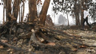 Presiden Joko Widodo meninjau penanganan kebakaran hutan dan lahan di Desa Merbau, Kecamatan Bunut, Pelalawan, Riau, Selasa (17/9).  [ANTARA FOTO/Puspa Perwitasari]